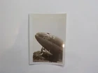 WW2 Photo Military Aircraft Tweeter WW II VTG Photograph Military War WW11 WWII