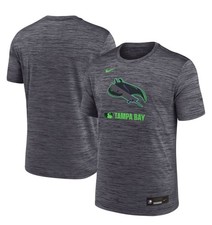 Tampa Bay Rays Nike Dri-FIT City Connect Velo...