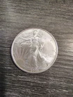 2005 Silver American Eagle $1 - Uncirculated - In Capsule