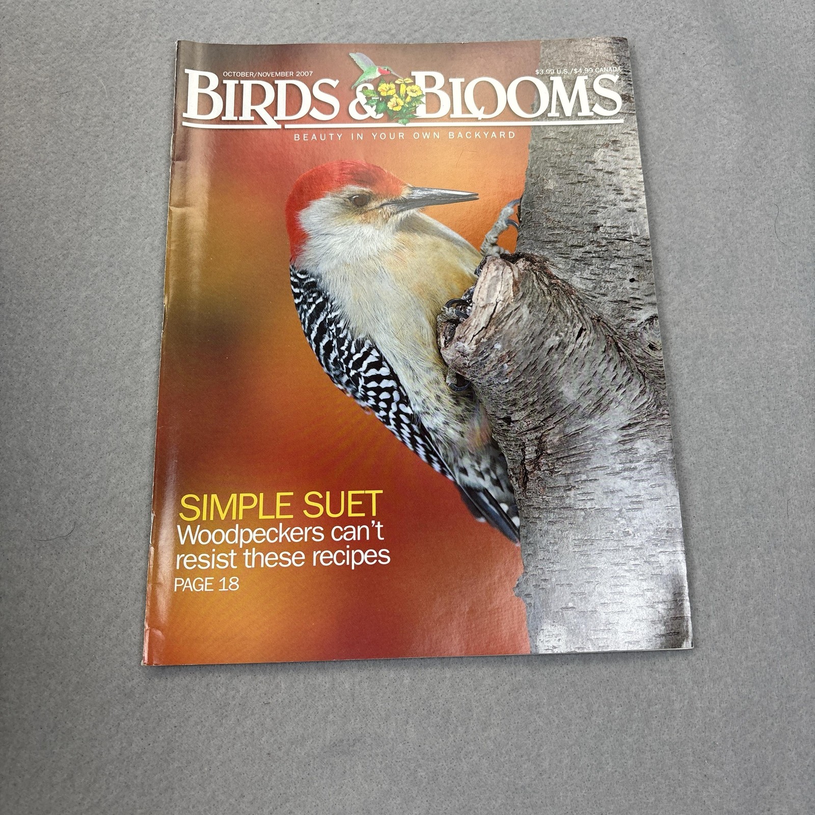 Birds & Blooms Magazine Oct/Nov 2007 Woodpecker Cover Illustrated Softcover