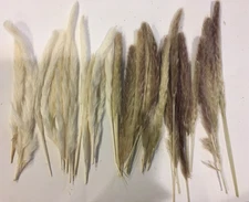 Pampas Grass Boho Decor 29 pieces Wedding 12" -15" Natural Dried