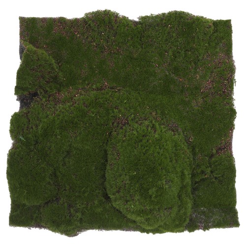 Artificial Moss Mat Fake Grass Rug Simulated Turf for Indoor Plants - Picture 3 of 12