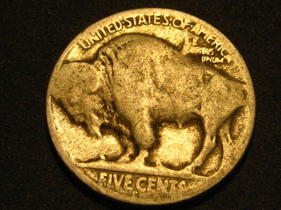 1925-S Buffalo Nickel ERROR LAMINACIÓN BAJO BARBILLA INDIA Foto 3 de 4