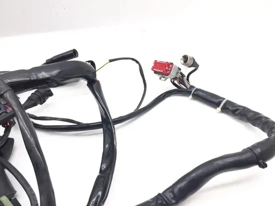 Arnés de cableado del motor principal Harley Electra Glide Ultra Classic 2000 FLHTCUI 3324 Foto 4 de 4