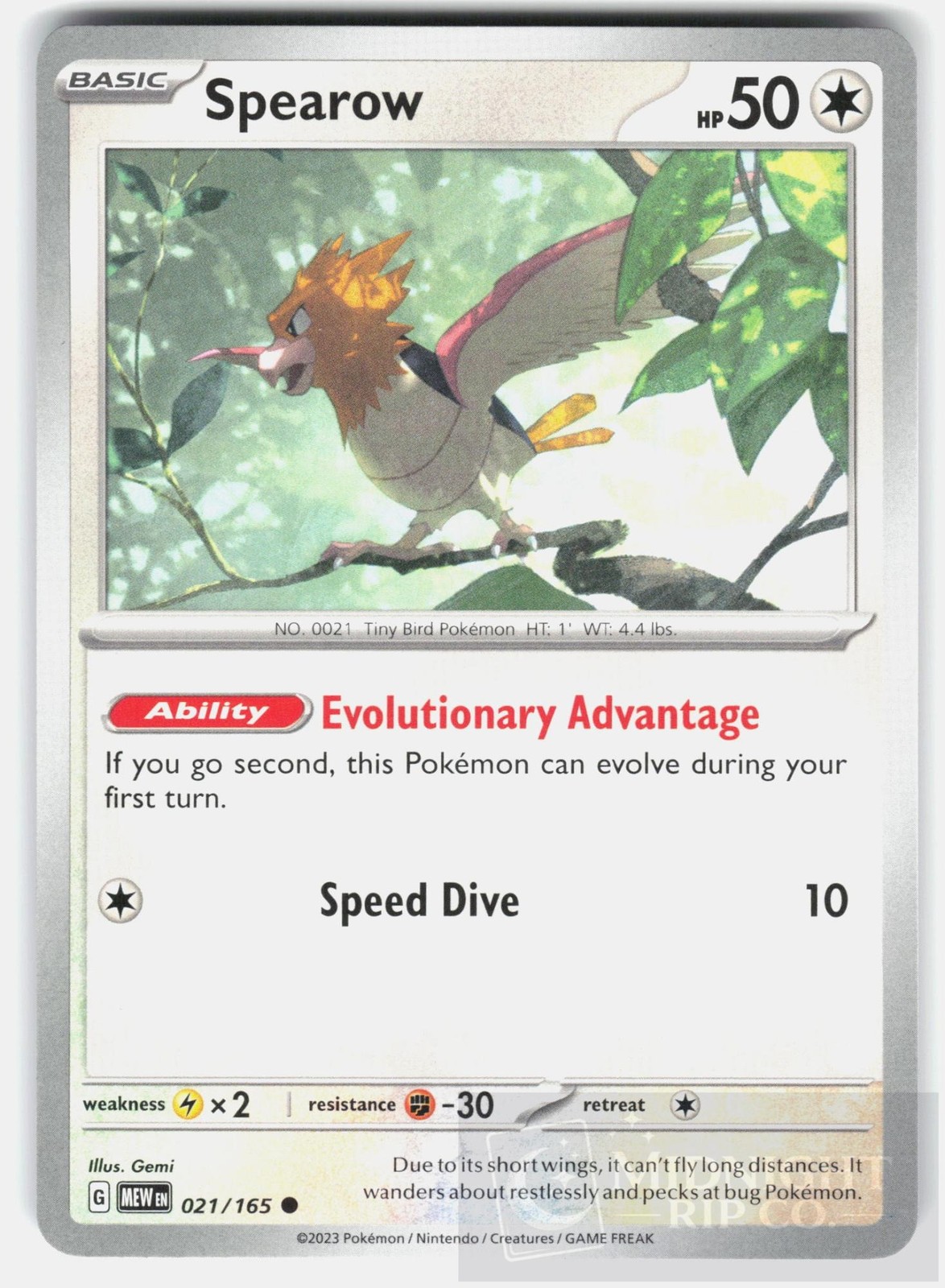 POKEMON SPEAROW 021 151 NM