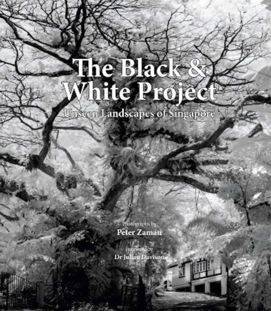 Black & White Project