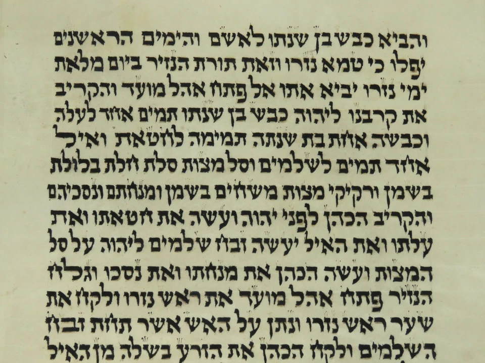 TORAH SCROLL BIBLE MANUSCRIPT VELLUM FRAGMENT/LEAF 80-100 YRS OLD ISRAEL הכהנים - Image 4 of 4