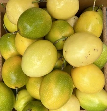 Fresh Passion Fruit (6LBS) The Actual Fruit