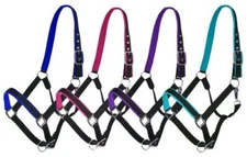 Showman Full Size Horse Nylon Colored Neoprene Lined Halter