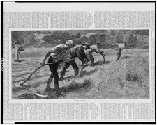 Mowers,scythes,harvest,crops,agriculture,farming,tools,equipment,industry,1875