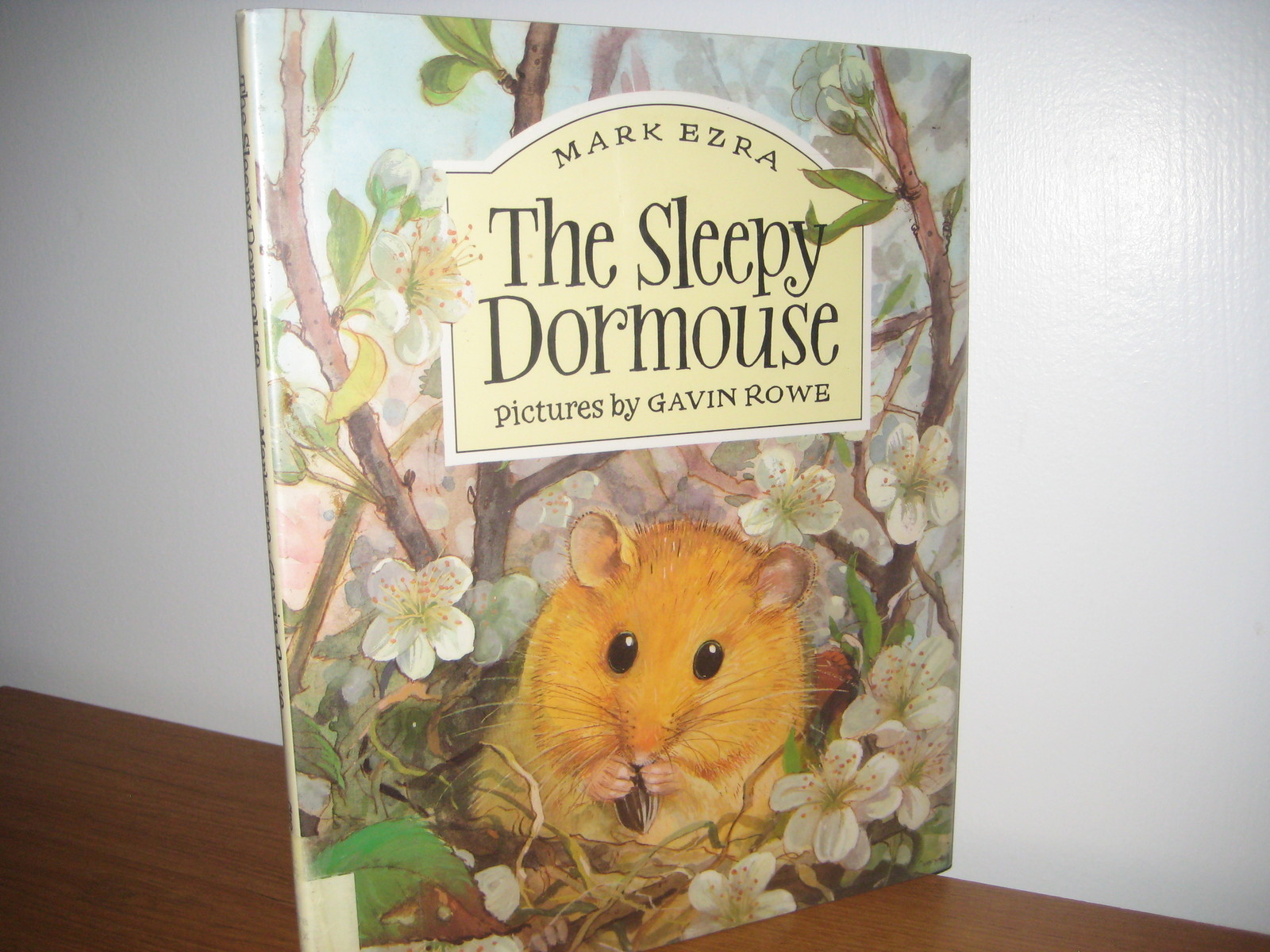 FILA Sleepy Dormou hardback jacket 1994 Ezra Rowe