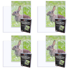 BCW 6x8 Topload Holders - 4 Pack 100pcs, PVC Photo  Card Protector