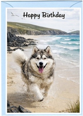 Alaskan Malamute Hund (4'' x 6'') Geburtstagskarte innen leer - von Starprint