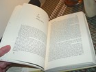 Bild 6 von 8