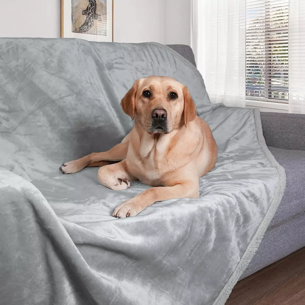 Best waterproof online dog blanket