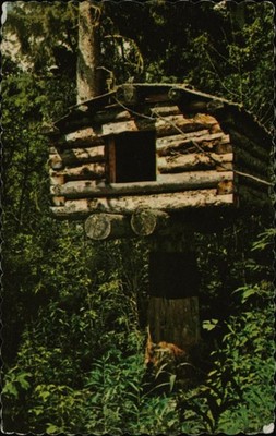 Vintage Wilderness Cache Log Cache Postcard Unposted Scalloped Edge