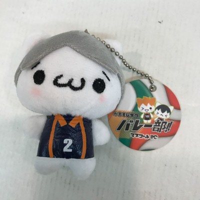 Hachinohe 2nd 60-689 Kaomoji Cat Volleyball Club Mascot BC
