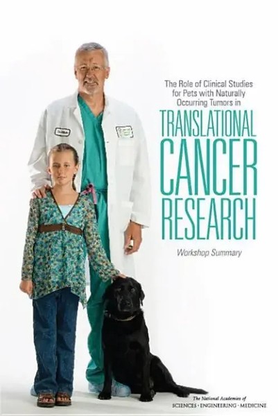 National Academies Of Sciences Engineering And Medicine (U. A.) | The Role Of...-image