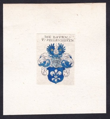 Baier von Bellenhofen Wappen coat of arms blason Heraldik Kupferstich 17. Jh.
