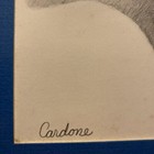 Picture 5 of 24