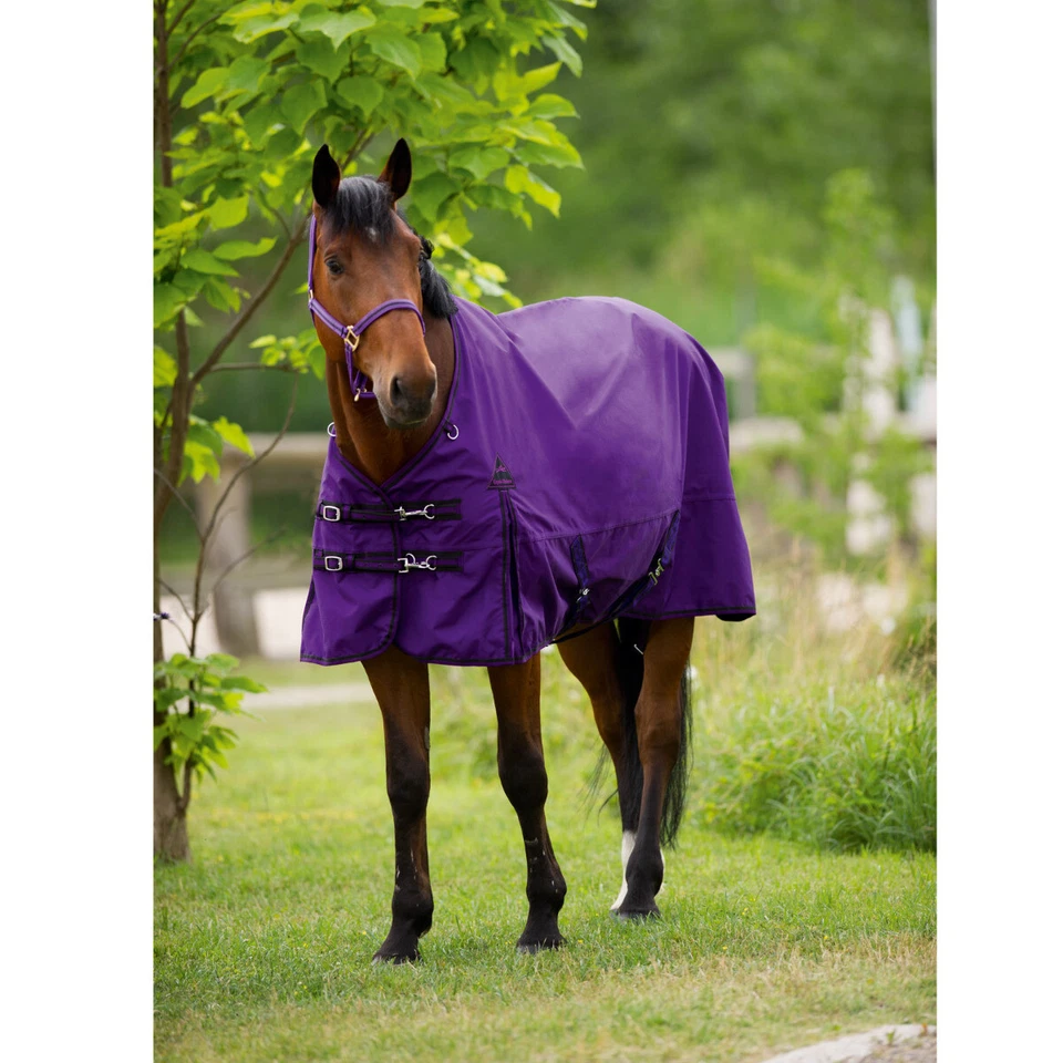 EQUI-THÈME "Tyrex" 300 g Standard Pferdedecke Weidedecke - Bild 2 von 2