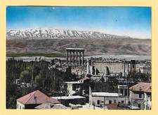 POSTCARD VG LEBANON - BAALBEK - Panorama General View - 10 x 15 - 1961