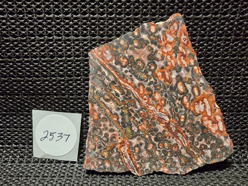 Gorgeous RED Leopard Skin Jasper, Incredible Colors and Design, Mexico - Picture 6 of 8