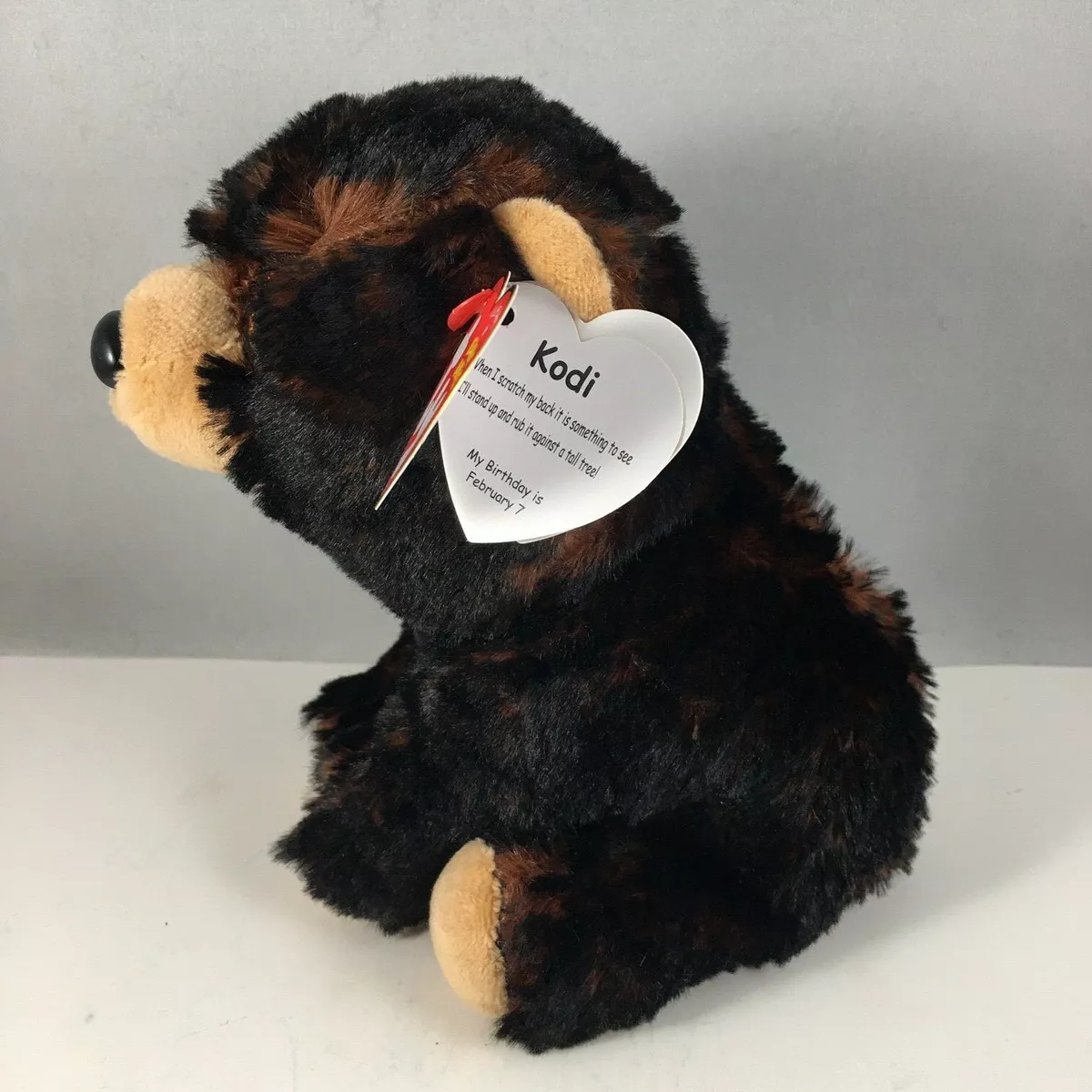 TY Beanie Baby 6 KODI Alaskan Kodiak Black Bear Plush Stuffed