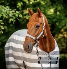 Horseware Ireland Newmarket Whitney Stripe Charcoal Cooler