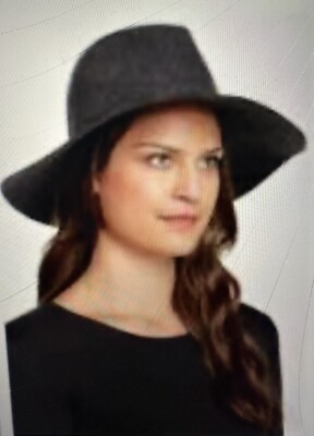 Phenix Gray 100% Wool Hat 100% Leather Trim s-l400.jpg main image 3