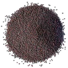 Organic Broccoli Seeds for Sprouting - Non-GMO, Kosher, Raw - by Food To Live