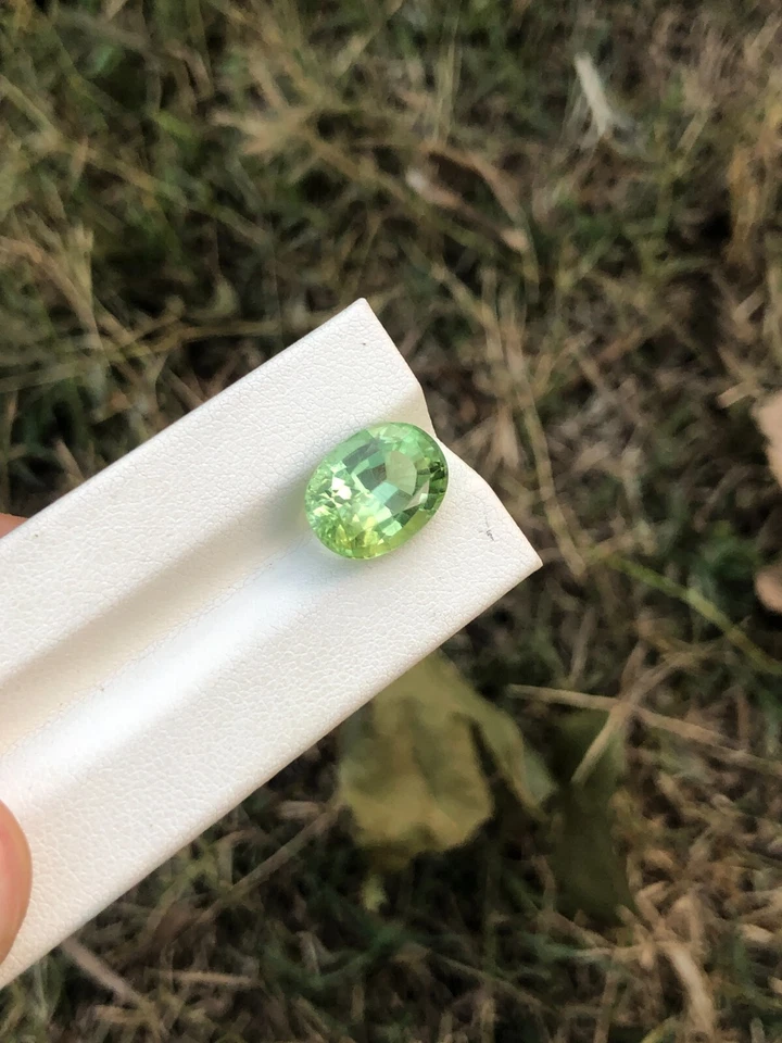 Natural Peridot Apple Green Color Oval Cut 7.85 Carats Loose Gemstone - Image 4 of 4