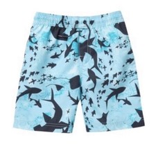 Tea Collection Swim Trunks Size 2T NWT