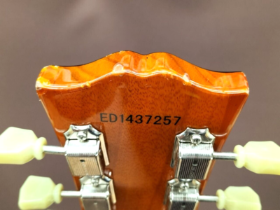 Edwards E-LP-STD/P P90 Gold Top Les Paul type Electric Guitar From