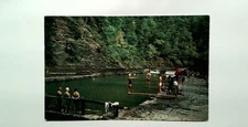 Vintage Stoneybrook State Park Swimming Pool Postcard Lithograph NY