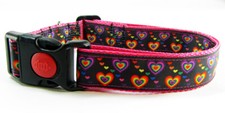Rainbow Hearts dog collar handmade adjustable buckle collar 1" wide or leash