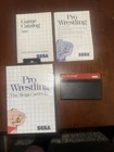 1986 Pro Wrestling: The Mega Cartridge - Sega Master System