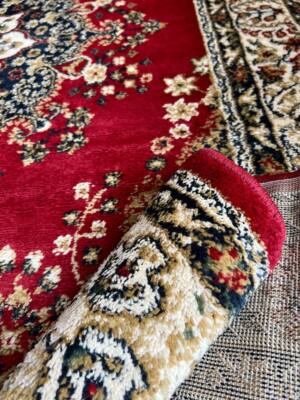 Traditional Oriental Medallion 8x11, 5x8, 2x8 Area Rug Large Floor
