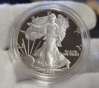 2004 W 1oz US American Silver Eagle $1 Dollar Proof Bullion Original Capsule