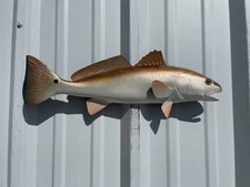 19" Redfish Half Fish Mount Replica - In Stock & Ready to Ship