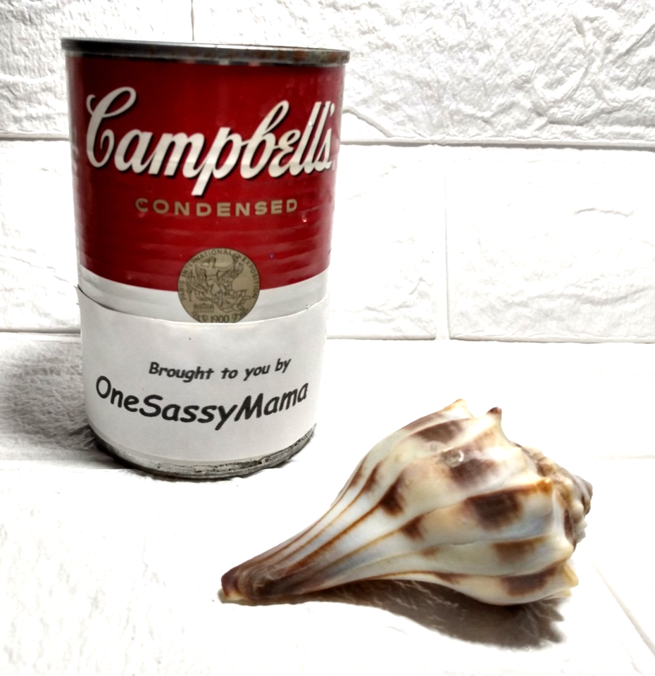 Atlantic Lightning Whelk Seashell Conch Shell Sassy's Private ...
