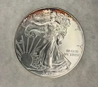 2015 American Silver Eagle 1oz Fine Silver Dollar - Natural Amber Rim Toning BU