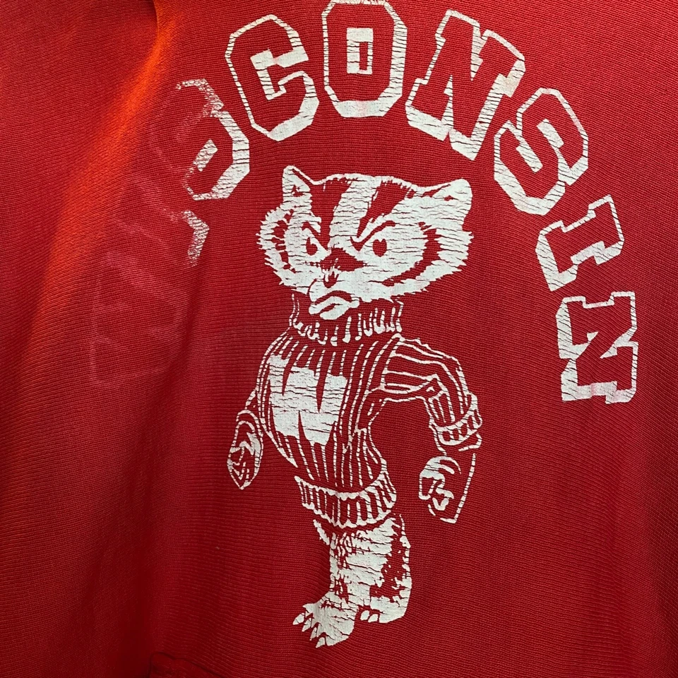 80s Vintage WISCONSIN BADGERS Hoodie Champion Reverse Weave Football Sweatshirt Foto 3 de 4