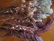 Dried flower mix of preserved cedar silver babys breath pink berries sweet annie