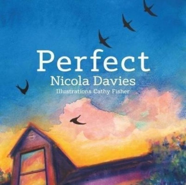 Perfect by Nicola Davies PAPERBACK - Image 4