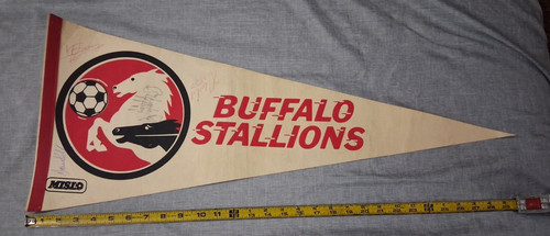 1979-84 BUFFALO STALLIONS SOCCER VINTAGE PENNANT FULL 30" X 12" MISL 4 AUTO's