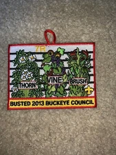 Boy Scout BSA 2013 Camp Seven Ranges 7R Buckeye Council Ohio Thorn Buster Patch