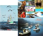 MAINE LOBSTER (3) Mint Continental Chrome Postcards Lot #19