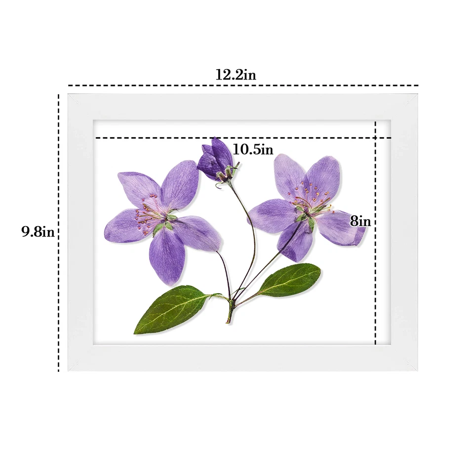 Marco de fotos 8,5x11 con mesa de vidrio y pared para documentos de diploma negro Foto 2 de 4