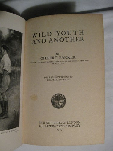 Wild Youth and Another, Gilbert Parker, Vintage, 1919 Hard Cover w/illustrations - Picture 6 of 13
